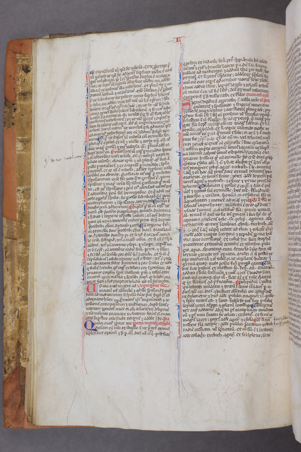 Folio 13 verso